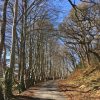 TighaBruaich B&B accommodation